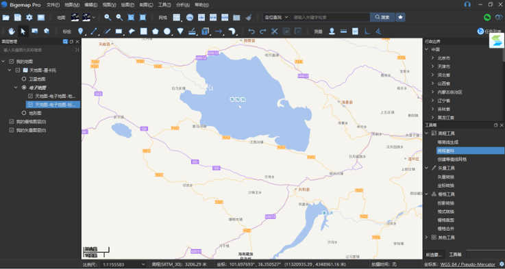 Bigemap Pro